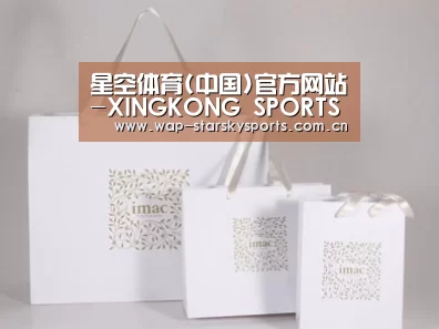 项目名称十一