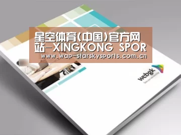 项目名称九