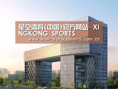 案例展示四