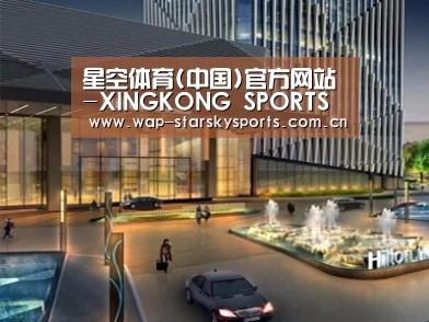 案例展示二