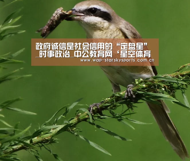 星空体育网址