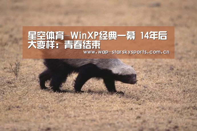 星空体育-WinXP经典一幕 14年后大变样:青春结束(图4) 星空体育