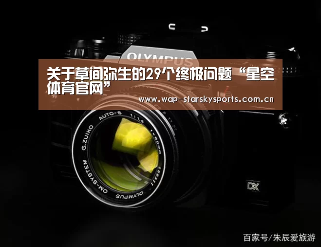 关于草间弥生的29个终极问题“星空体育官网”(图2) 星空体育入口