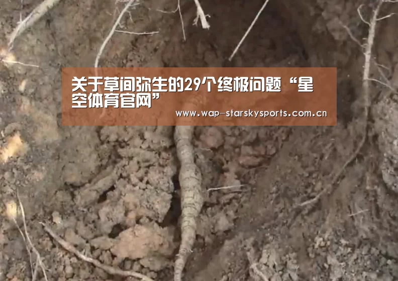 关于草间弥生的29个终极问题“星空体育官网”(图3) 星空体育官网