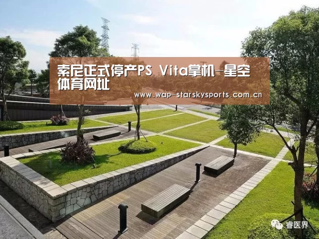索尼正式停产PS Vita掌机-星空体育网址(图3) 星空体育